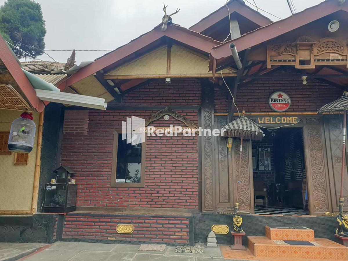 Hotel Yoschi'S Bromo At Desa Wisata Bromo Ngadisari 外观 照片