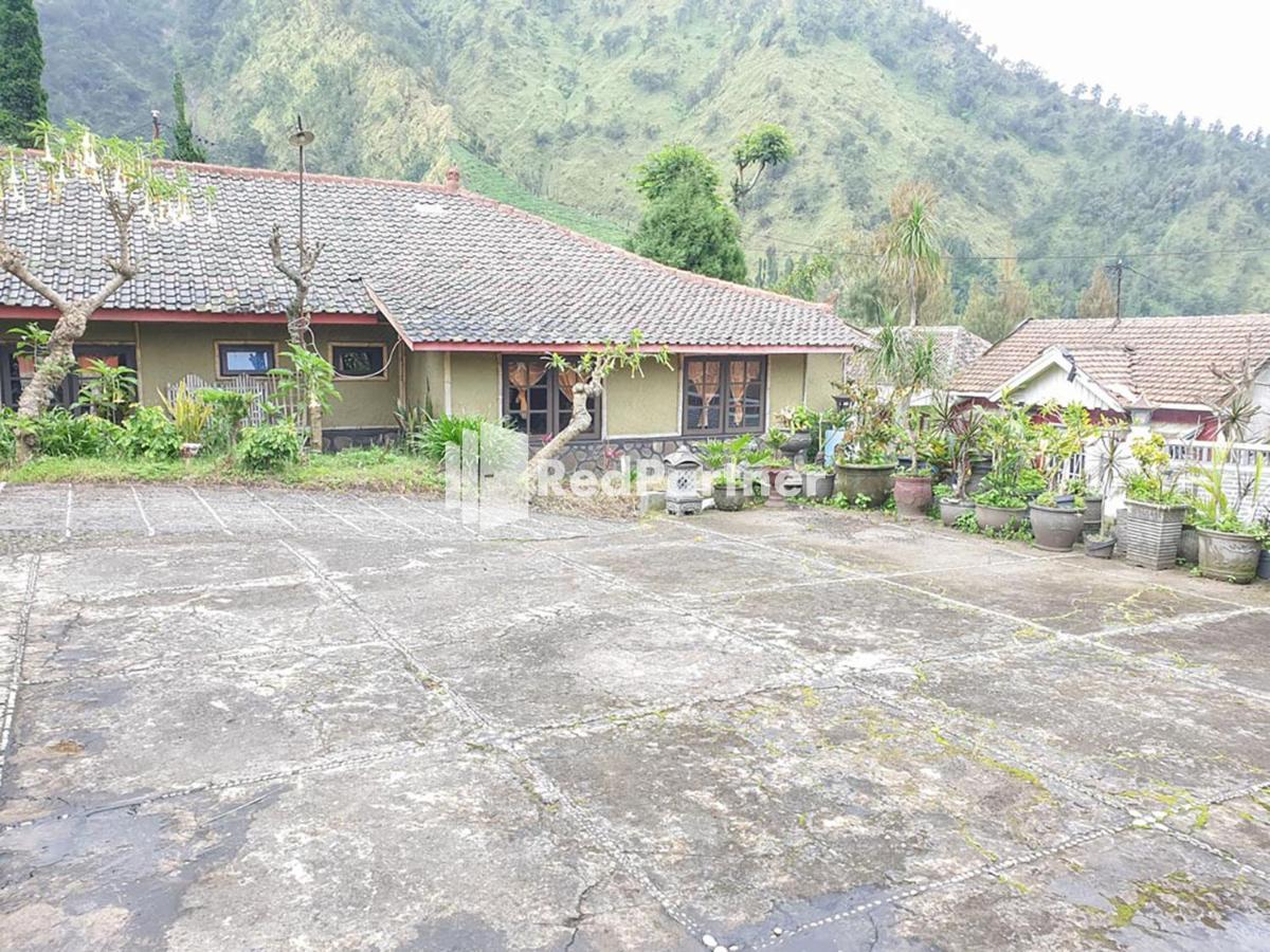 Hotel Yoschi'S Bromo At Desa Wisata Bromo Ngadisari 外观 照片