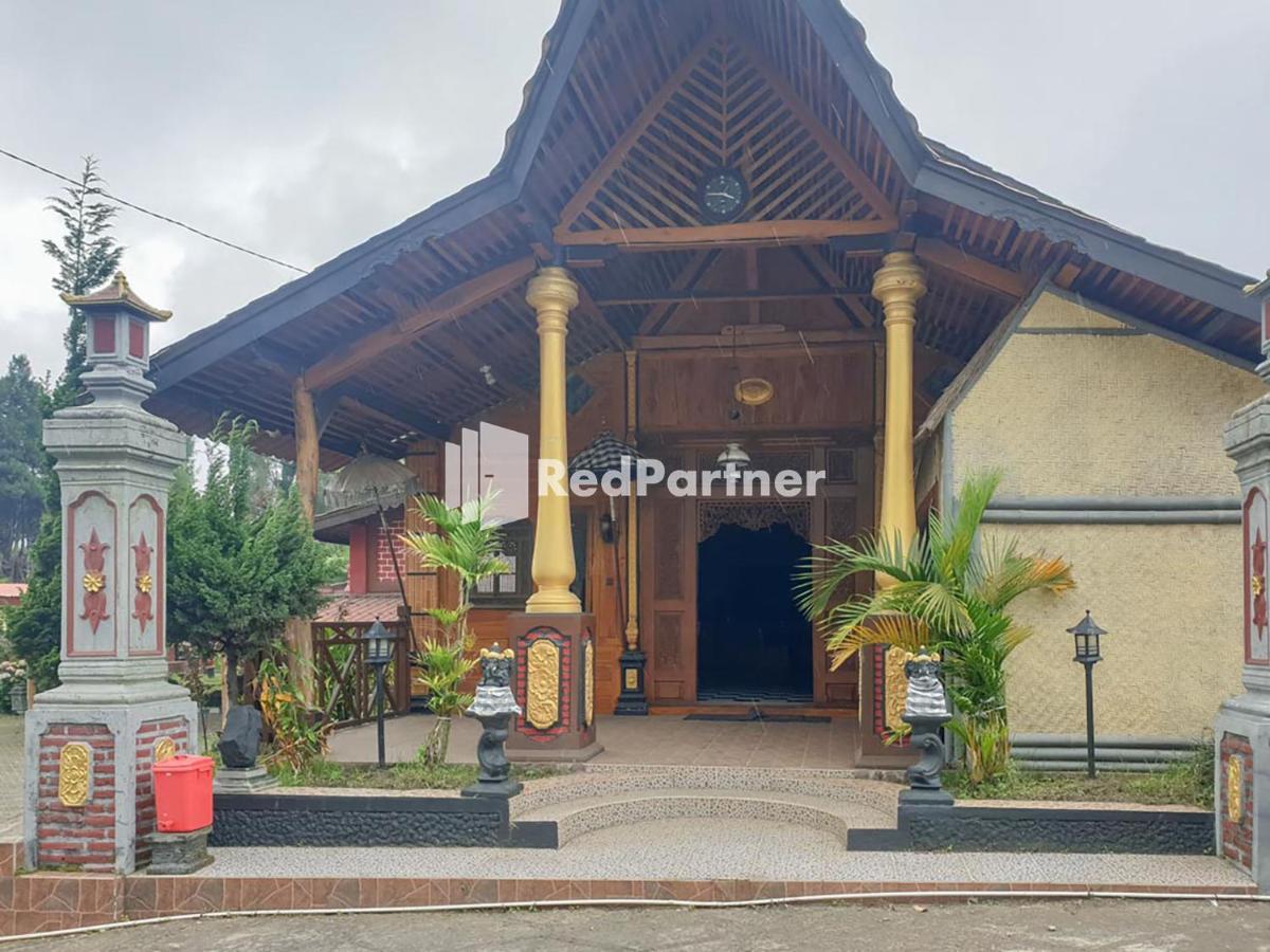 Hotel Yoschi'S Bromo At Desa Wisata Bromo Ngadisari 外观 照片